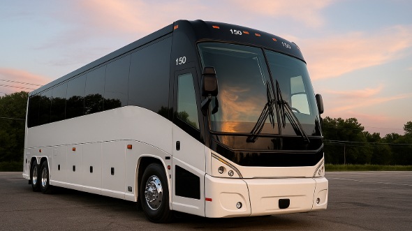 texas city bachelor and bachelorette party bus rentals